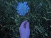 حس آرامش‌بخش طبیعت با شکوفه گلی زیبا