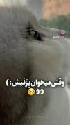 اینطوری واقعاً 🤣🤣🤣🗿بگید هعی🗿🗿🚬