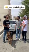 طنز: سطح اعتماد به نفس جوانان ایرانی - رانندگی سگ!