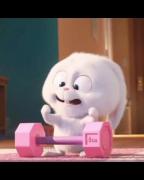 اینم برای تولد بهترین مکنه ی جهان🐰💜💜