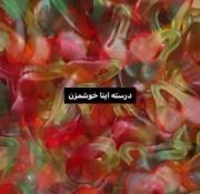 دنیایی از پاستیل‌های رنگارنگ و خوشمزه