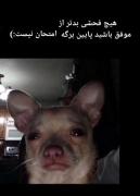 درسته مگه نه؟))))))))))))))))))))))) 