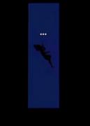 ویدیو ی حال خوب کن آوردم🌝🦋☆♡