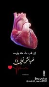 ویدیوی احساسی قلب: این قلب مال منه ولی ضربانش تویی