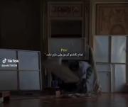 تلاش‌های بی‌وقفه و تلخی شکست: وقتی تمام تلاشت به نتیجه نمی‌رسد