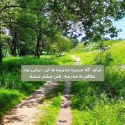 ..........................✨️🍃