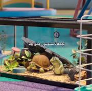 🤌😂...........................