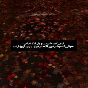 هشدار طنزآمیز روز قیامت در جاده پاییزی!