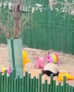 . . . . . . . . . . . . .. . . . . . 