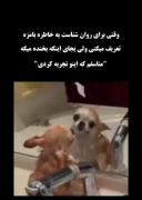 آدمایی که با بعضی از غما بزرگ شدن و دیگه براشون خنده داره....