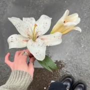 شخصیت من (🌸🌷👠🗣️)؟! ..