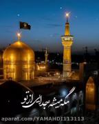 گرچه آهو نیستم اما پراز دلتنگی ام ..ضامن چشمان آهوها بدادم میرسی؟