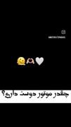 کلیپ دیدنی از موتورسواری با موتور سنگین