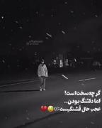 عجب حال قشنگیست این دلتنگی | کلیپ غمگین و احساسی