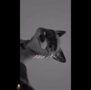 دلخوشیم تویی | کلیپ احساسی از انیمیشن زوتوپیا