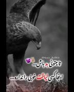 بہ بعضیام ڪݪاََ هیــچی نباید گفت چــون اصلاََ زبـون آدمیـزاد نمیفهمن