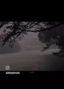 ديگه هيچي باورم نميشه……:)💔🫴🏻