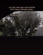 تنهایی و خودشناسی: درک حقیقت رفاقت واقعی