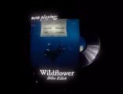 I see her in the back of my mind !:)🧠🫴🏻