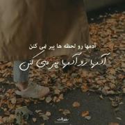 حقه بخدا. آدمها رو آدمها پیر میکنن. 