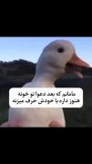 وقتی مامان بعد از دعوا هنوز با خودش حرف می‌زند: اردک بامزه!