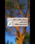 میم واقعیت زندگی: این زندگی ناجالب در شأن انسان جالبی مثل من نیست!