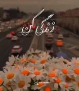 زندگی کن که زندگی کردن قشنگ است! 🥲🫠🌹