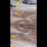 شور و عشق به پژو پارس سفید: شستشو و دیتیلینگ ماشین اسپرت