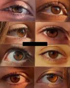 زیبایی رنگ‌های مختلف چشم: از آبی تا قهوه‌ای