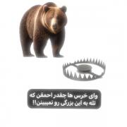 وایی خرس ها چقد احمقن🙄 . 