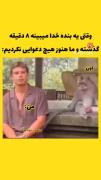 کلیپ طنز دعوای ناگهانی با میمون