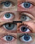 دارین درباره چی حرف میزنین؟ 