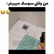 وقتی دیدن سوسک کار را به آمبولانس می‌کشاند! | طنز واکنش‌های عجیب به سوسک