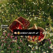 منو دوستای صمیمی:این تابستون میترکونیم!!!