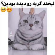 لبخندای تو مثل این ویدئو زیباست❤️‍🩹