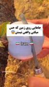 باورت میشه که این ها در ایران هستن 