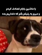 وقتی از دوستتت میخوتی که دلداریت بده🤣🤣🤣
