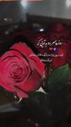 کلیپ تبریک عاشقانه روز پسر با گل رز