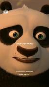 دیالوگ غمگین پاندای کونگ فو کار: زخم‌ها خوب میشن ولی جاشون میمونه