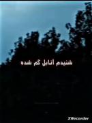 آنابل گم شده! ویدئوی ترسناک سعید والکور