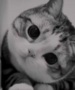 اینو نگا چه خوشمزه اس.........