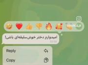 به سلیقه ی خودم تا ابد افتخار میکنم