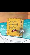 کارتون باب اسفنجی ، پاتریک ، اختاپوس 