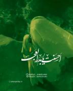 میلاد پیامبر مهربانی ها را به شما دوست عزیز تبریک میگویم 💐