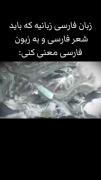 طنز زبان فارسی: از پیچیدگی شعر تا قدرت ذهن