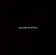 تو مثل گل لیلیوم زیبایی: کلیپ آرامش‌بخش گل‌های لیلیوم