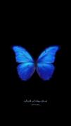 پروانه آبی درخشان: کلیپی با متن عاشقانه و آرامش‌بخش
