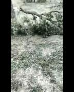 عاقبت تاب بازی سنگین وزن | کلیپ طنز و خنده دار