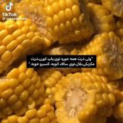 روش‌های مختلف و خوشمزه برای لذت بردن از ذرت