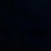 شگفتی‌های زیر آب: دنیای زیبای حیوانات دریایی